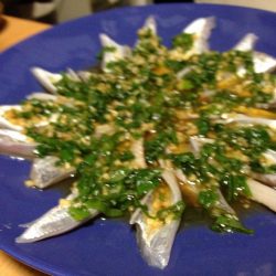 タチウオは釣れるが…